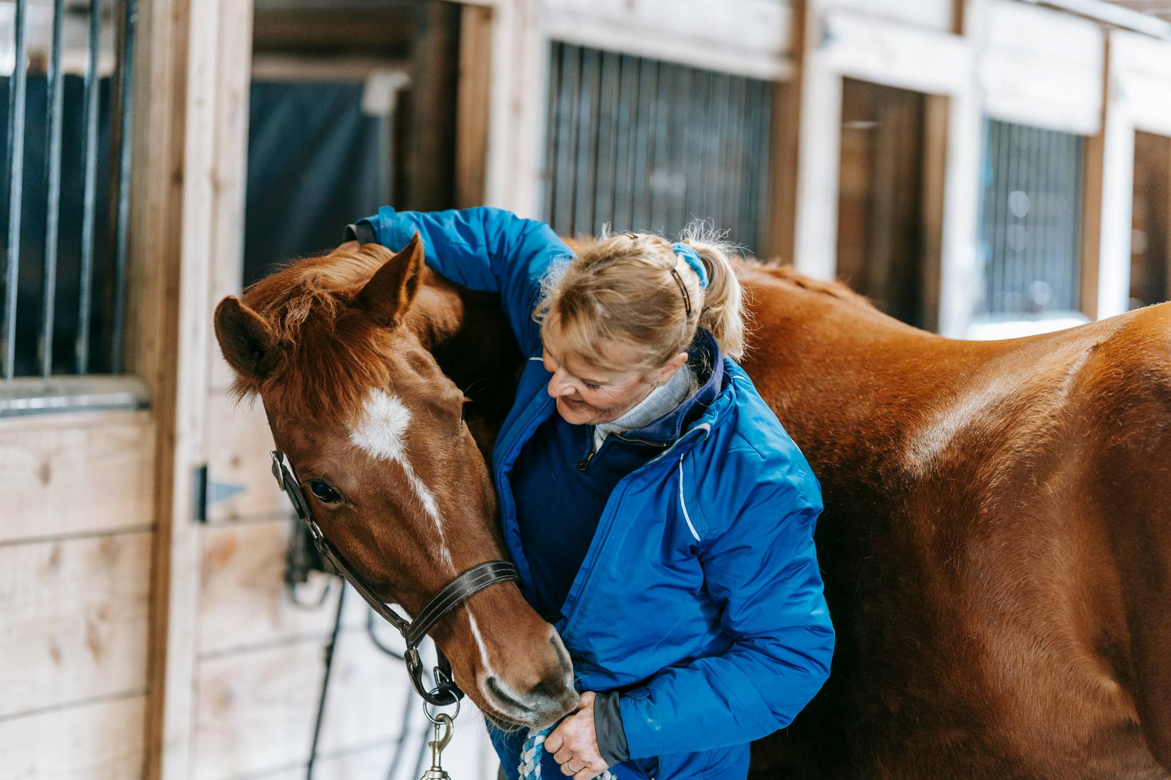equestrian